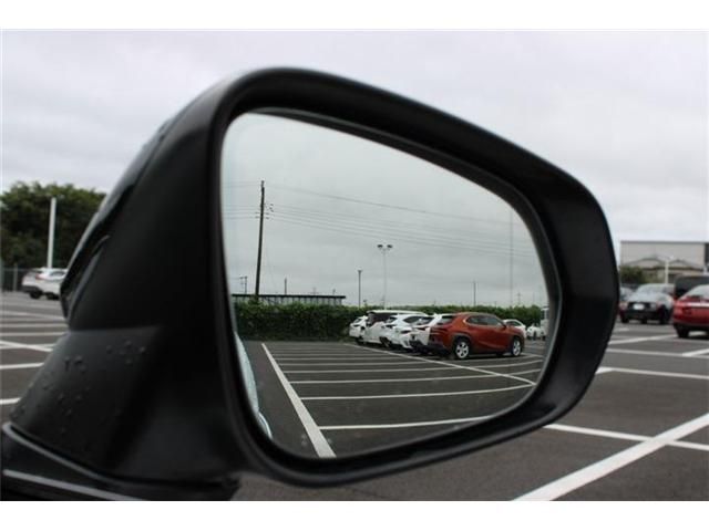 LEXUS NX300