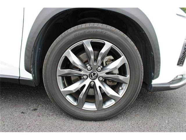 LEXUS NX300