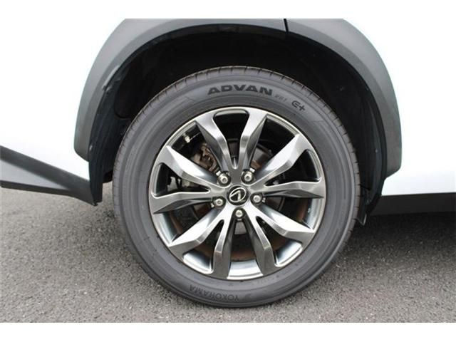LEXUS NX300