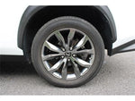 LEXUS NX300