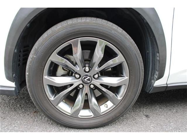 LEXUS NX300