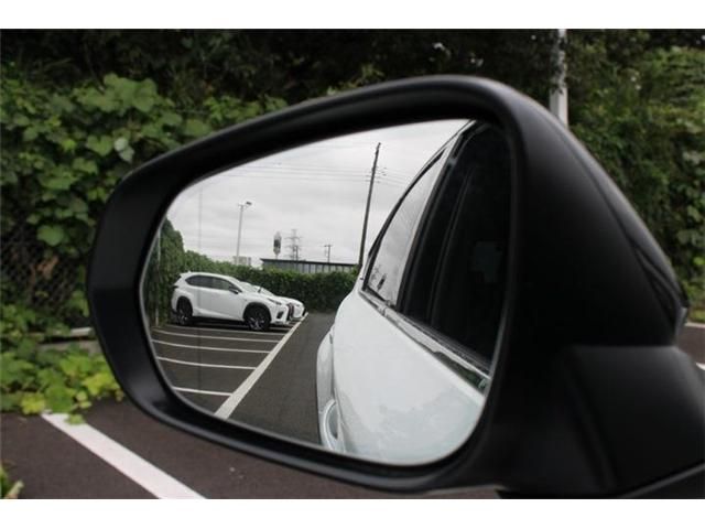LEXUS NX200t