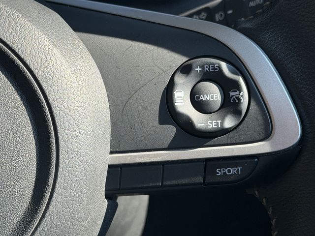 ROOMY