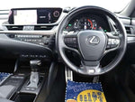 LEXUS ES300h