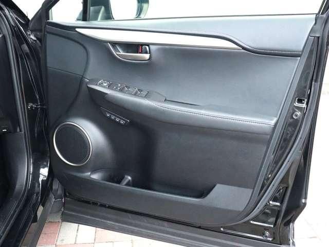 LEXUS NX300h