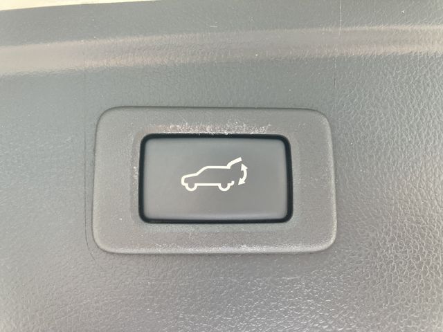 LEGACY OUTBACK