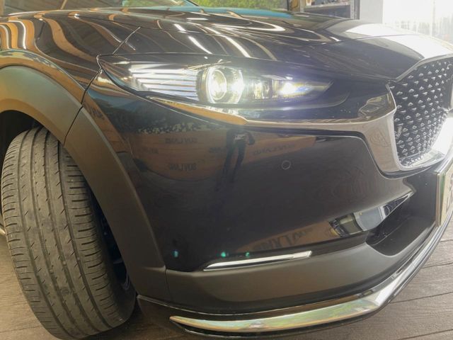CX-30