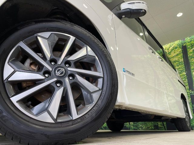 SERENA  WG