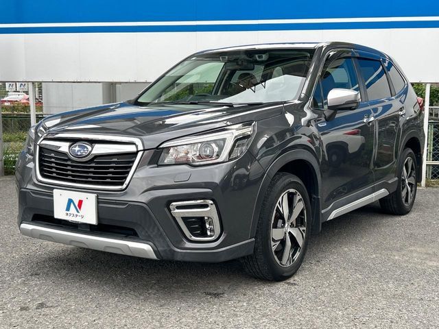 FORESTER