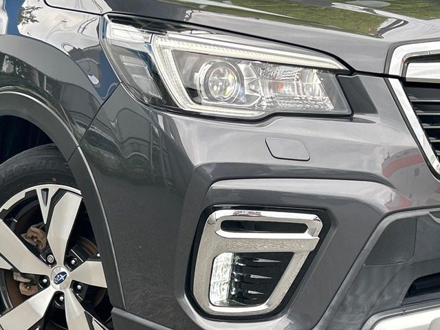 FORESTER