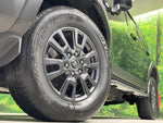 LANDCRUISER 250