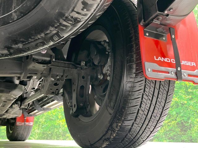 LANDCRUISER 250