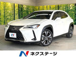 LEXUS UX300h
