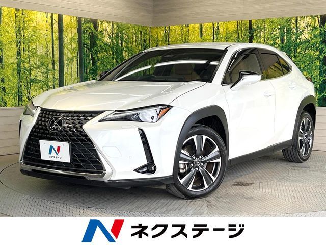 LEXUS UX300h