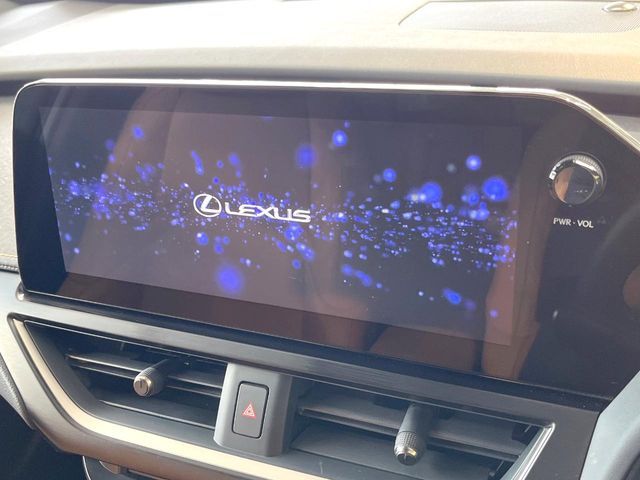 LEXUS UX300h