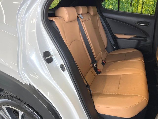 LEXUS UX300h