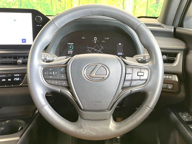 LEXUS UX300h