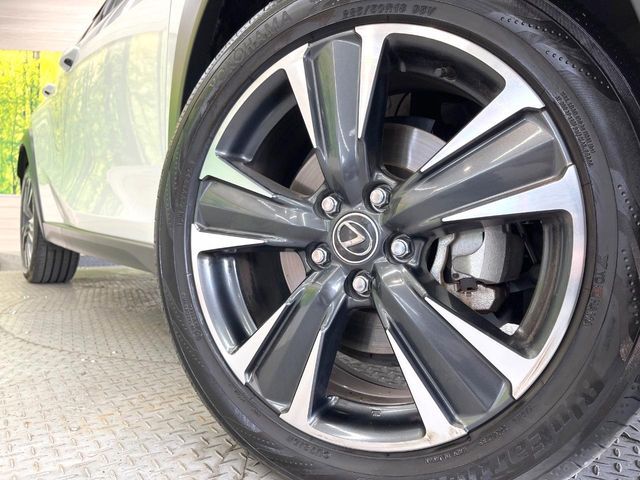 LEXUS UX300h