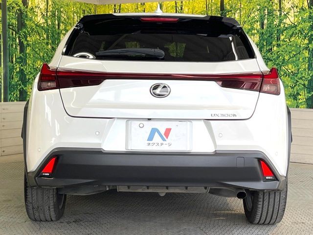 LEXUS UX300h