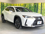 LEXUS UX300h