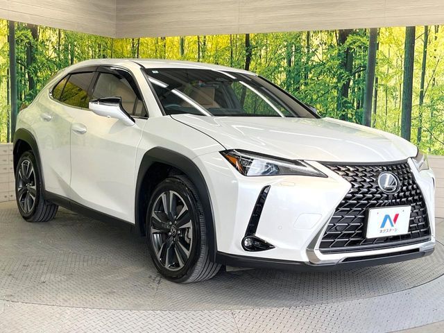 LEXUS UX300h