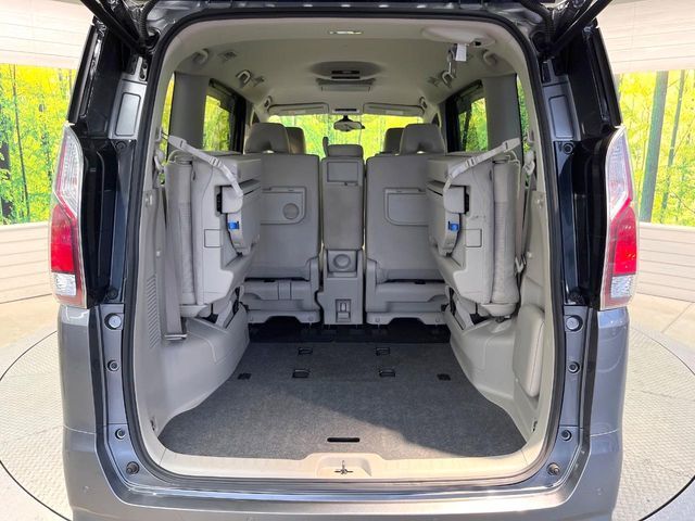 SERENA  S-HYBRID