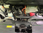 SERENA  WG