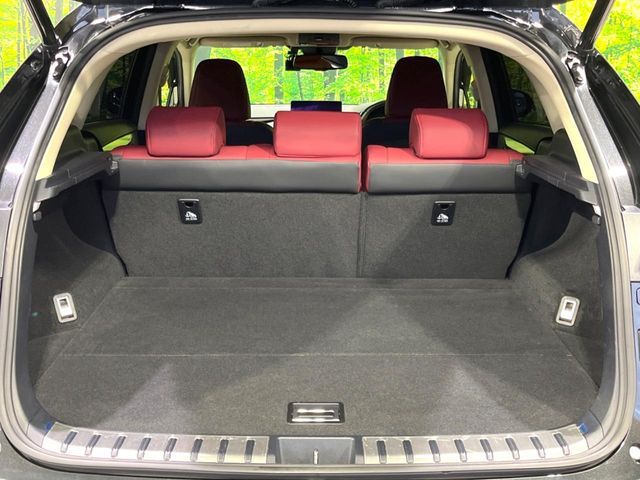LEXUS NX300h