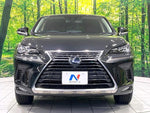 LEXUS NX300h
