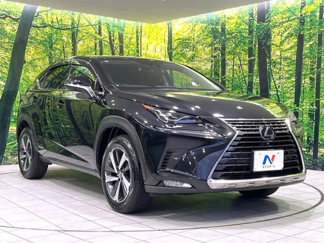 LEXUS NX300h