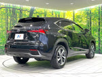 LEXUS NX300h
