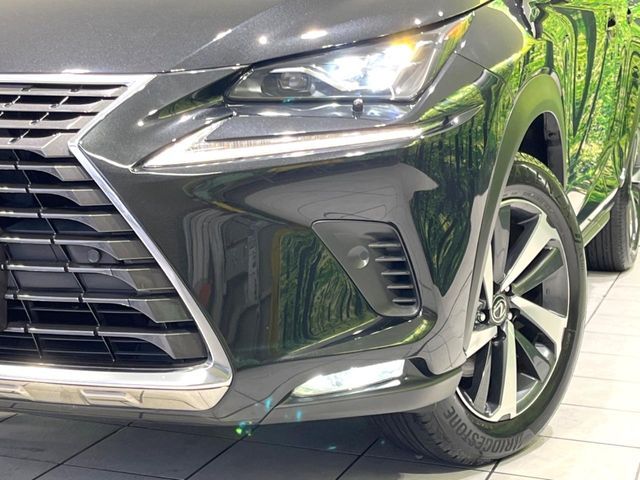 LEXUS NX300h