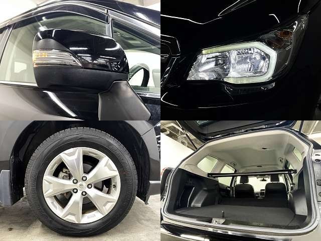 FORESTER