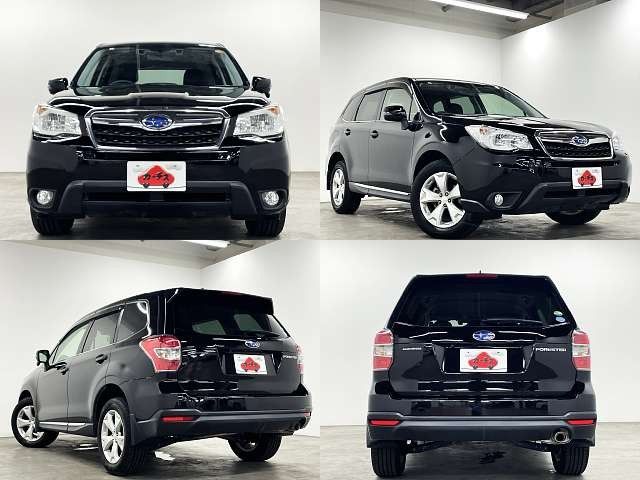 FORESTER