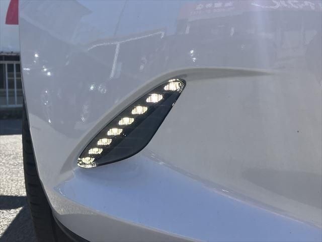ROADSTER RF