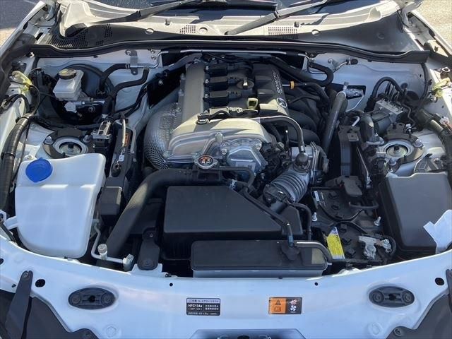 ROADSTER RF
