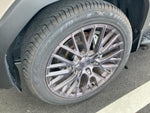 LANDCRUISER 250