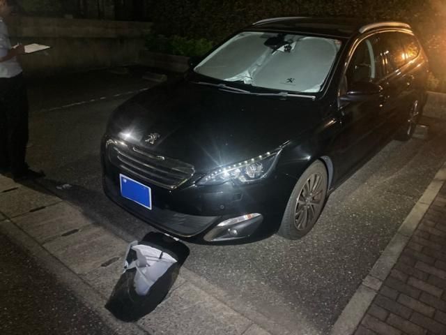 PEUGEOT 308SW