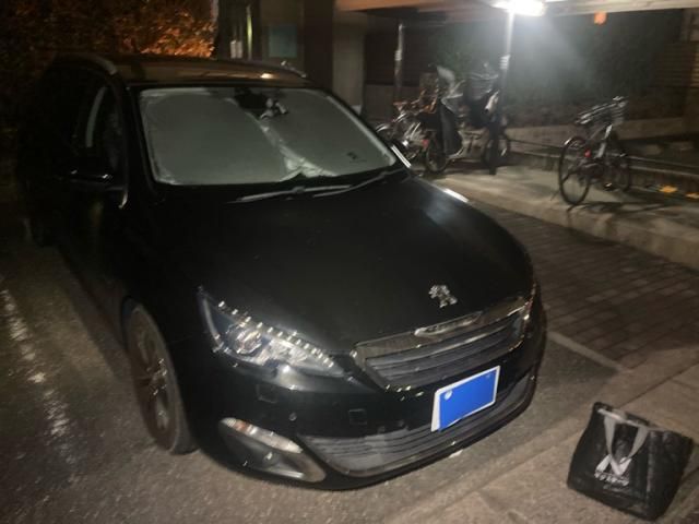 PEUGEOT 308SW