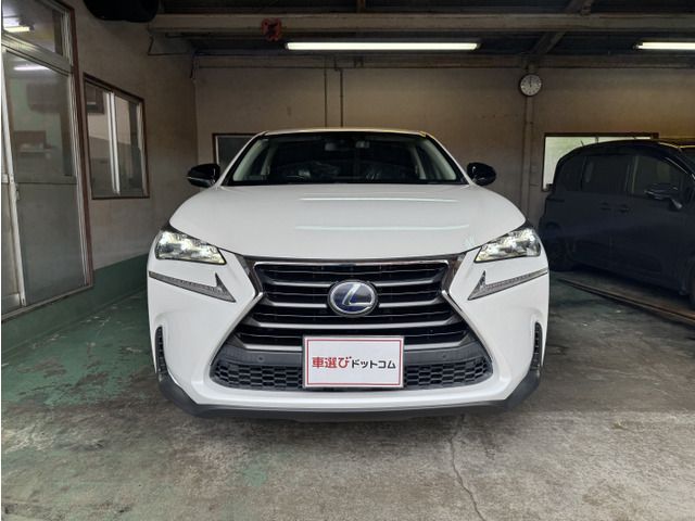 LEXUS NX300h