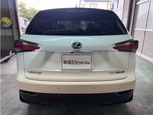 LEXUS NX300h