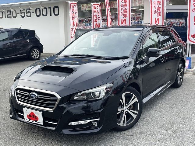 LEVORG