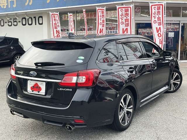 LEVORG