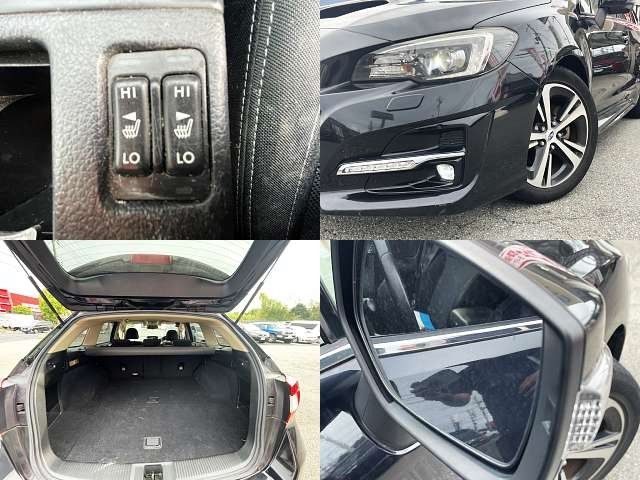 LEVORG