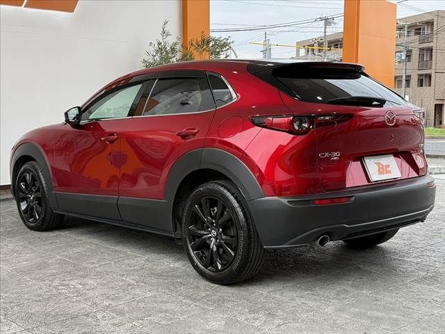 CX-30