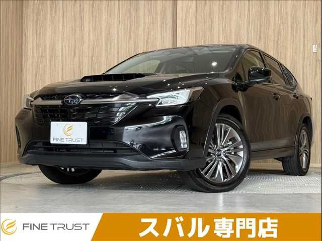 LEVORG LAYBACK