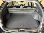 LEVORG LAYBACK