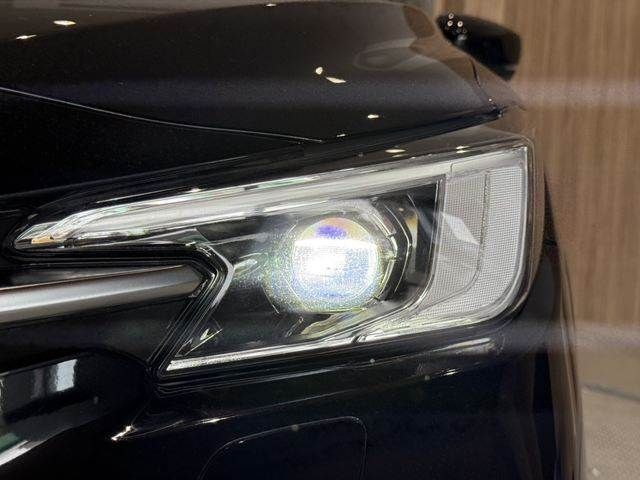 LEVORG LAYBACK
