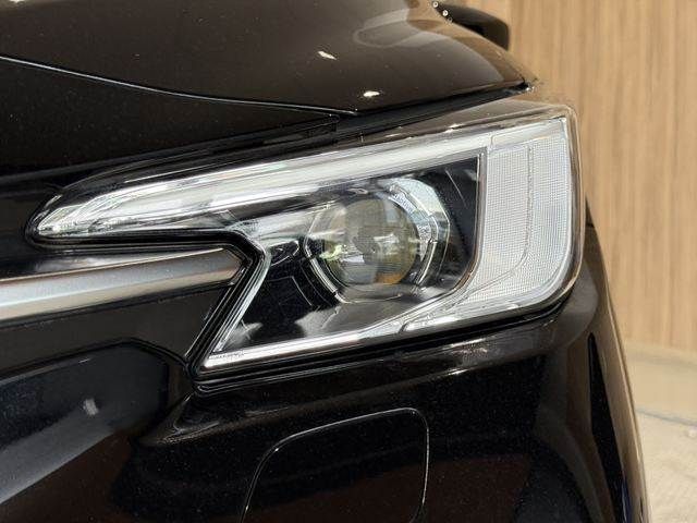LEVORG LAYBACK