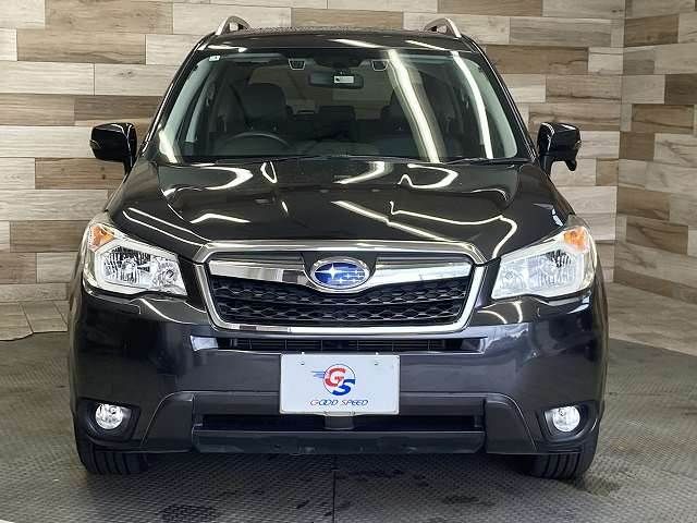 FORESTER